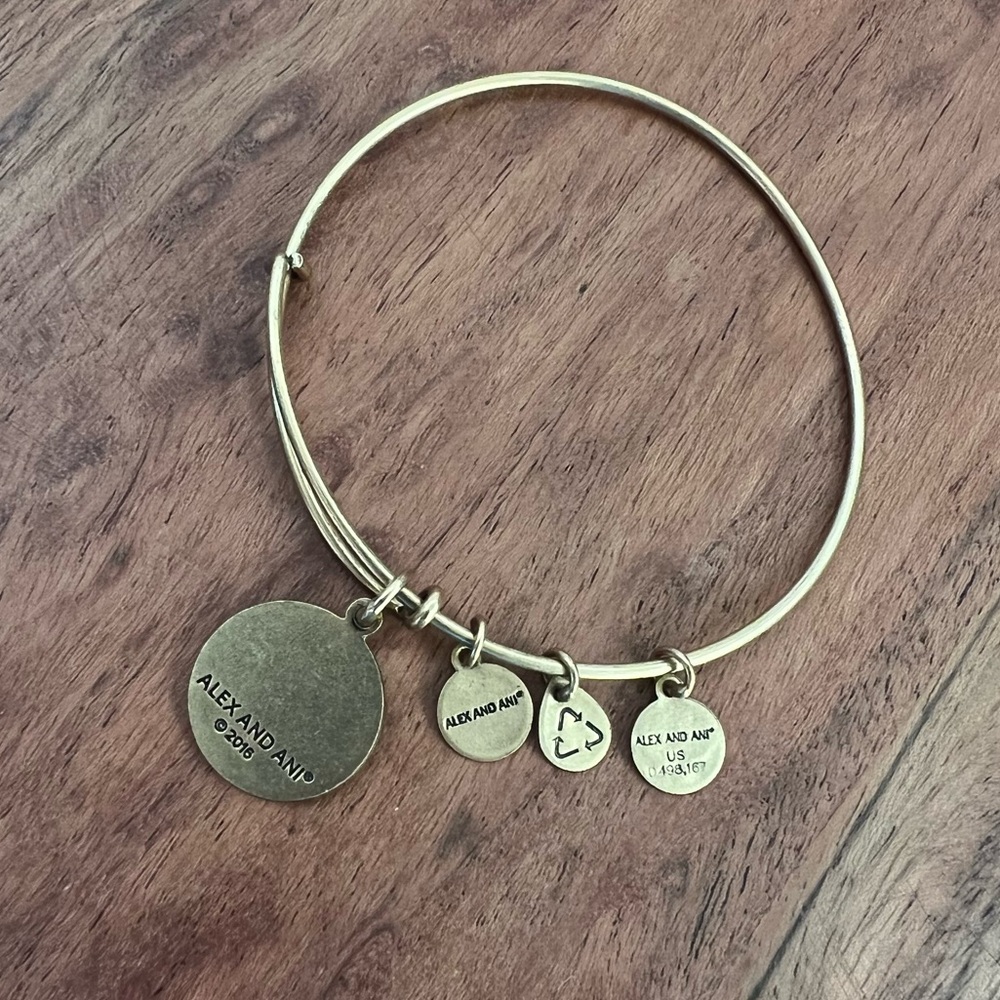 Alex and Ani Delta Gamma Bangle Bracelet - Picture 5 of 7